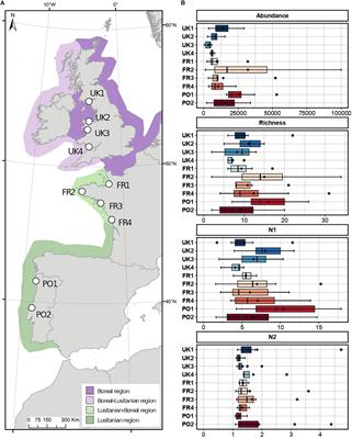 Musical Chairs on Temperate Reefs: Species Turnover and Replacement Within Functional Groups Explain Regional Diversity Variation in Assemblages Associated With Honeycomb Worms